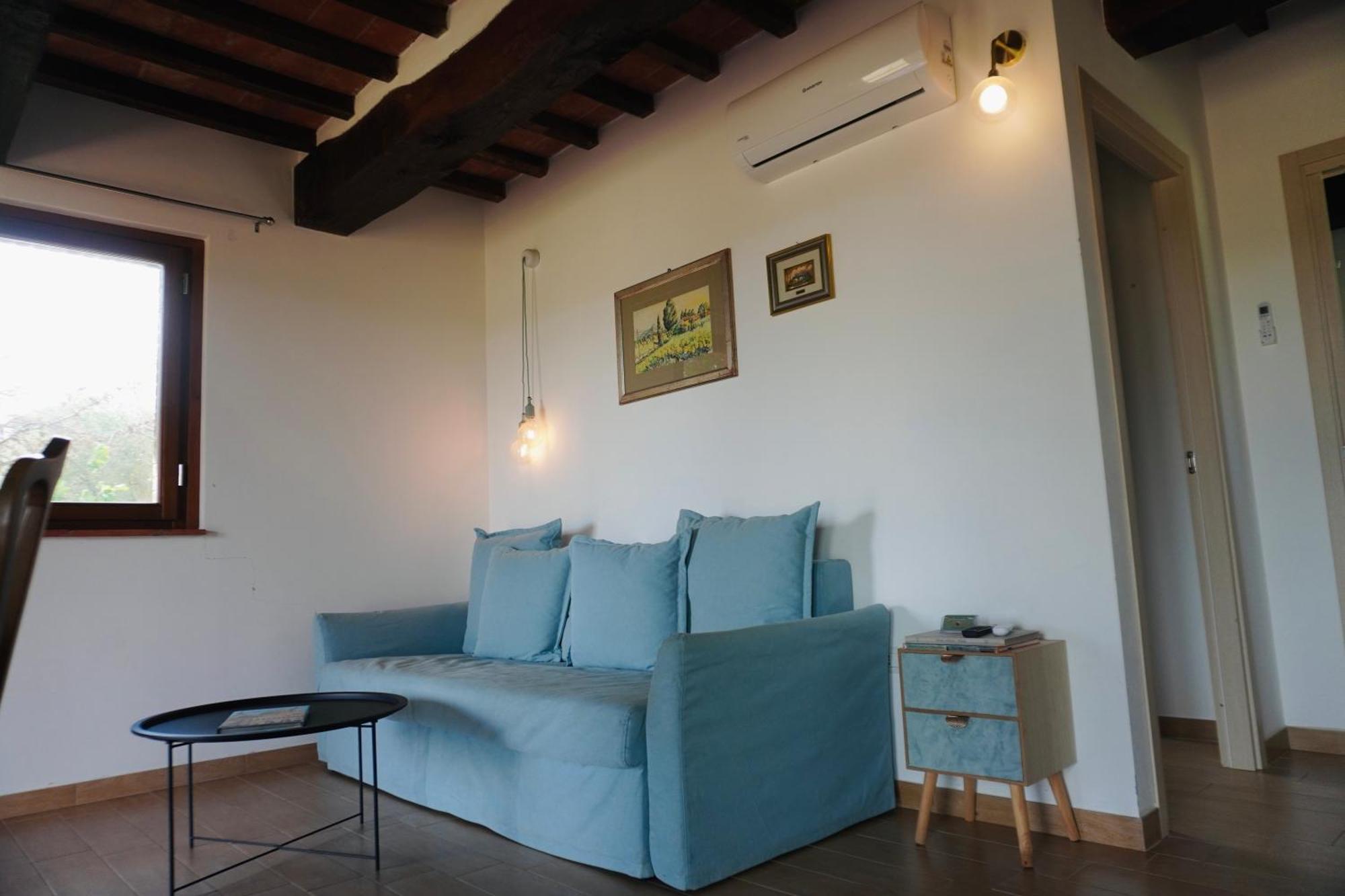 Anfora Della * Massa Marittima