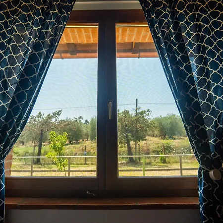 Agriturismo Anfora Della Vita Massa Marittima Exterior foto