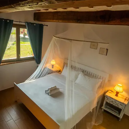 Agriturismo Anfora Della Vita Massa Marittima Zimmer foto