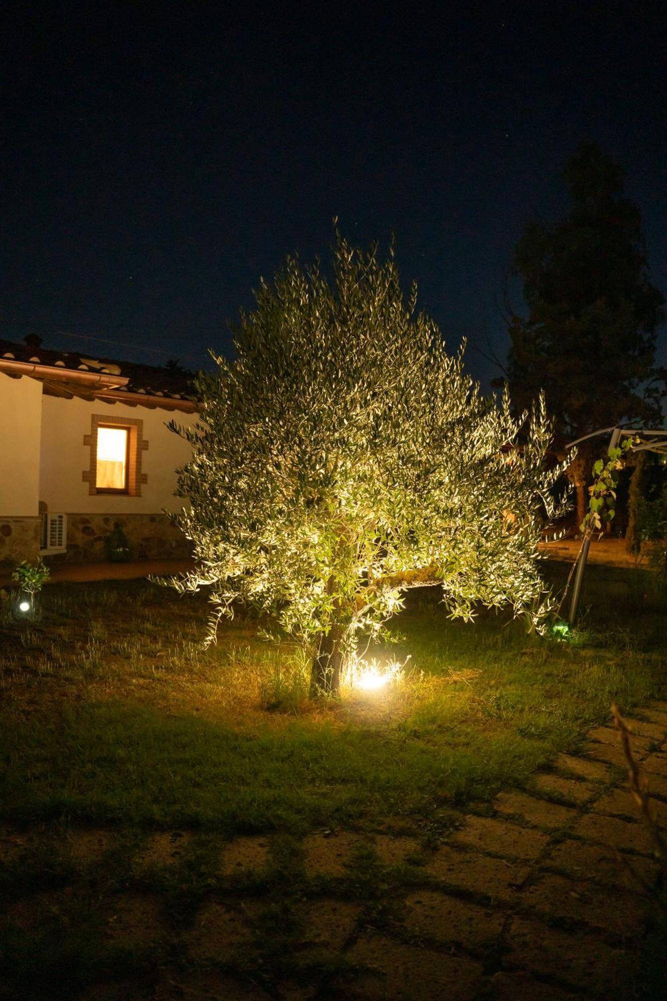 Anfora Della Apartment Massa Marittima