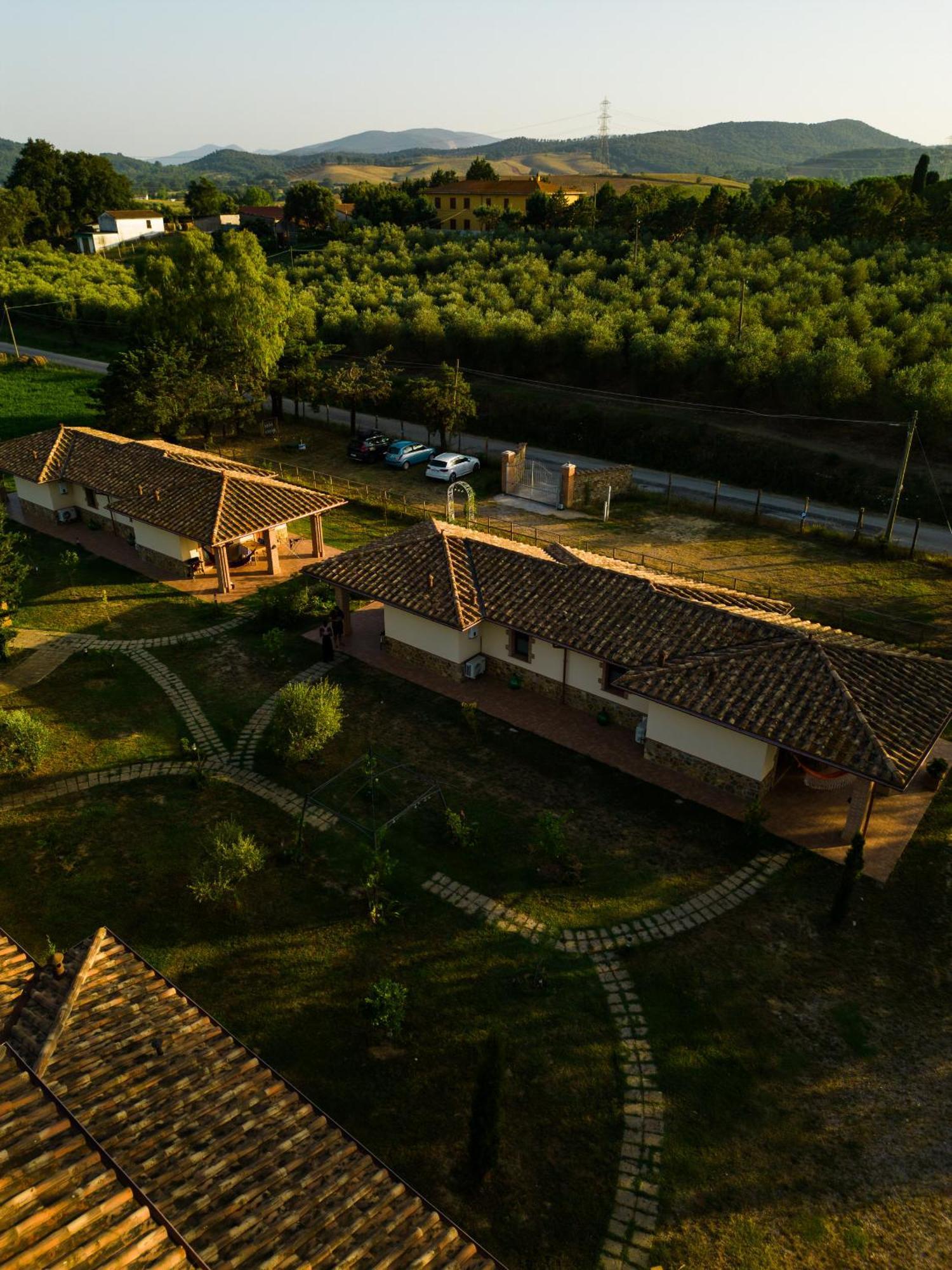 Anfora Della * Massa Marittima
